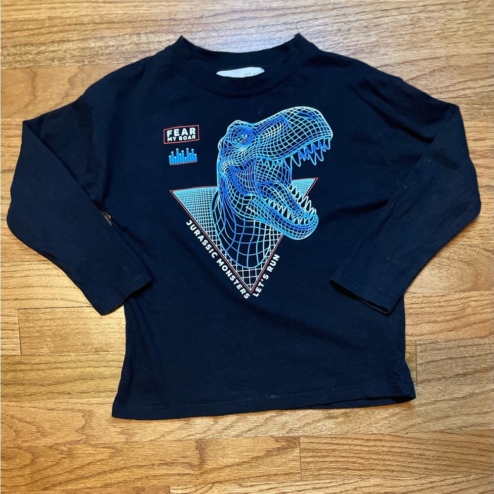Zara dinosaur print long sleeve for boys.